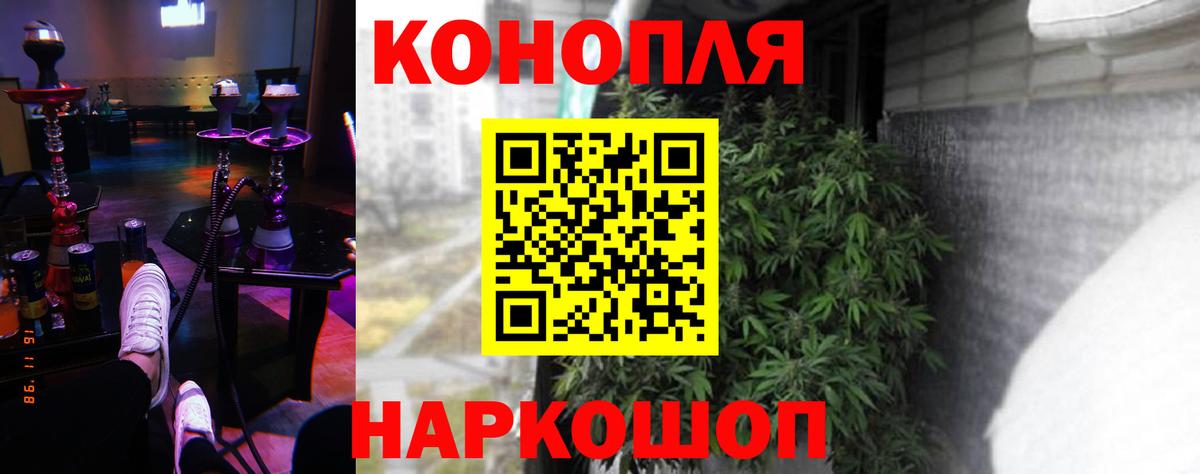 Канабис марихуана  Конопля ГИДРОПОН  Канабис Ganja  Вход с VPN  Благодарный 